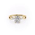 The Kelsey Set With A 2 Carat Elongated Cushion Moissanite Online Hot Sale